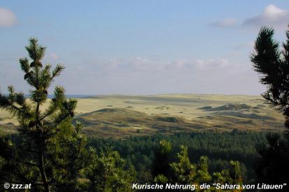 click to enlarge - anklicken zum Vergroessern