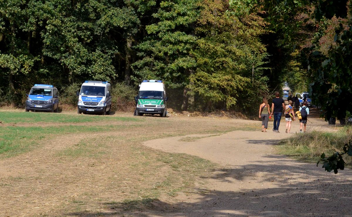 Fr immer verloren: der ber 1000 Jahre alte Hambacher Forst