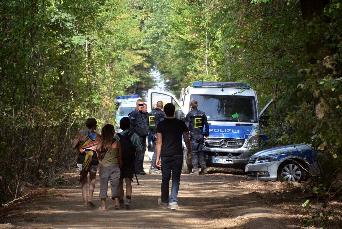 Fr immer verloren: der ber 1000 Jahre alte Hambacher Forst