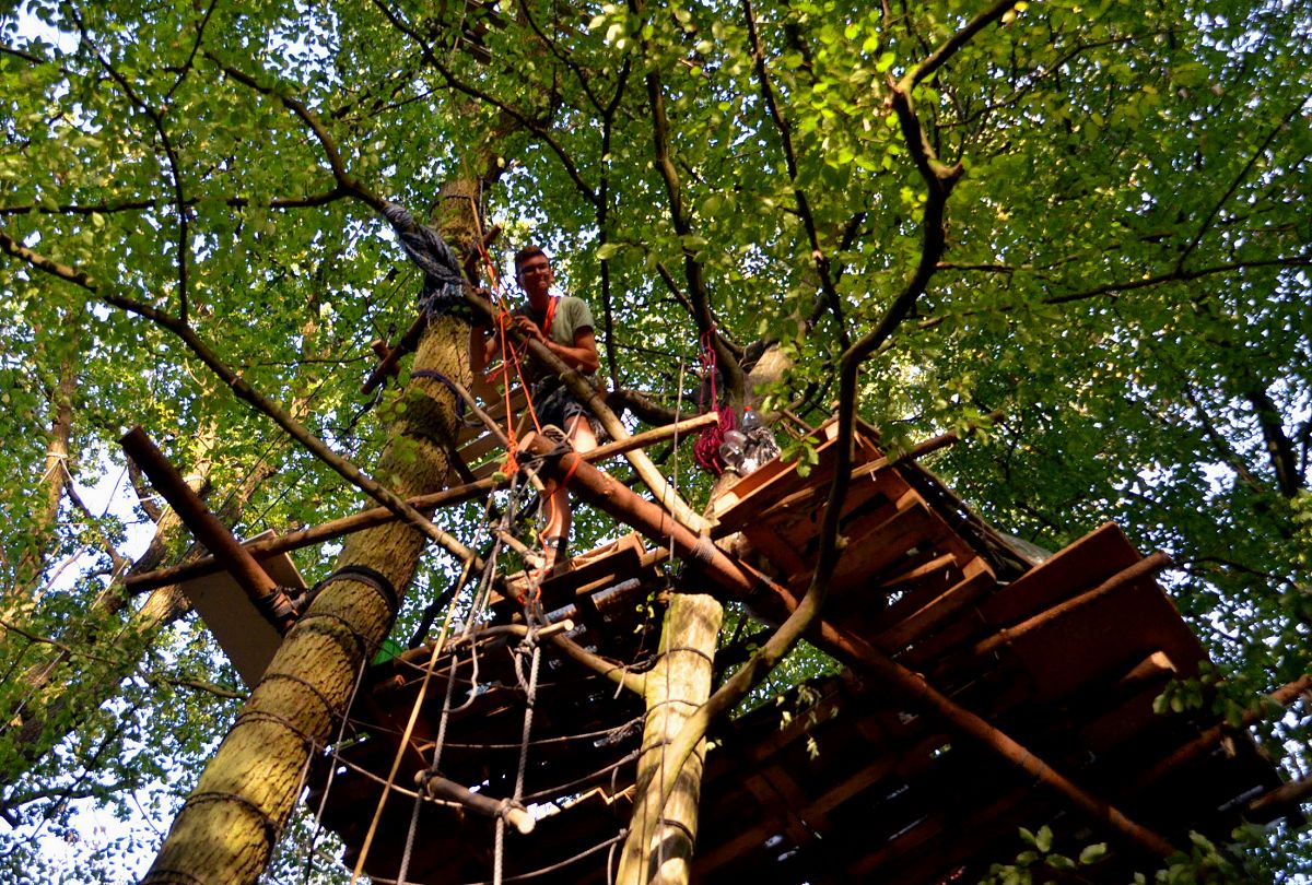 Fr immer verloren: der ber 1000 Jahre alte Hambacher Forst