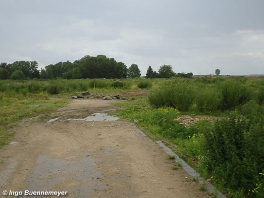 Die Heimat wird dem Braunkohle-Tagebau geopfert