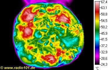 Thermografische Aufnahme / Wärmebild: Pizza Hawaii als Infrarotaufnahme